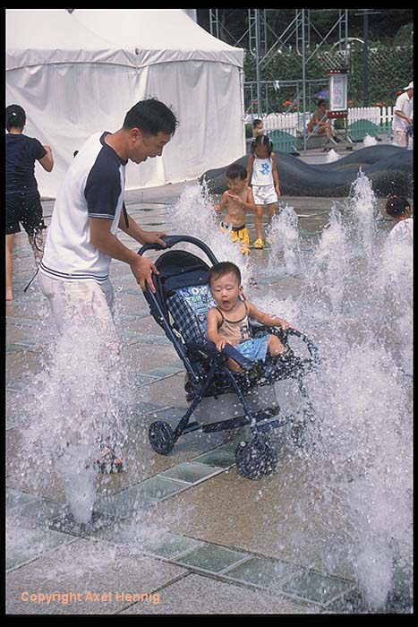 Yong-In Everland (3)