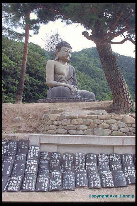 buddha statue