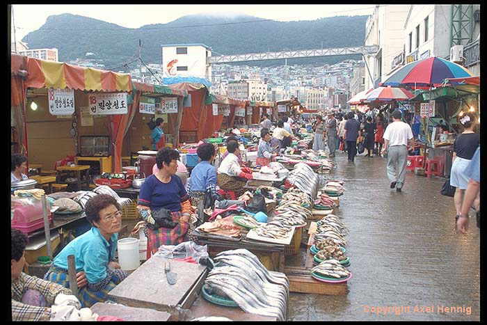 Chagalch'i Fischmarkt (1)
