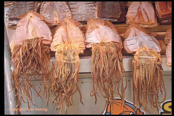 Chagalch'i Fischmarkt (2)