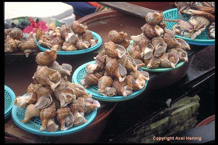 Chagalch'i Fischmarkt (4)